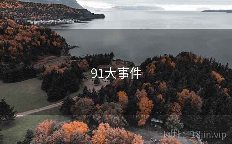 91大事件