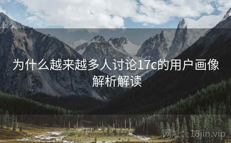 为什么越来越多人讨论17c的用户画像 解析解读 为什么越来越多人讨论17c的用户画像 解析解读