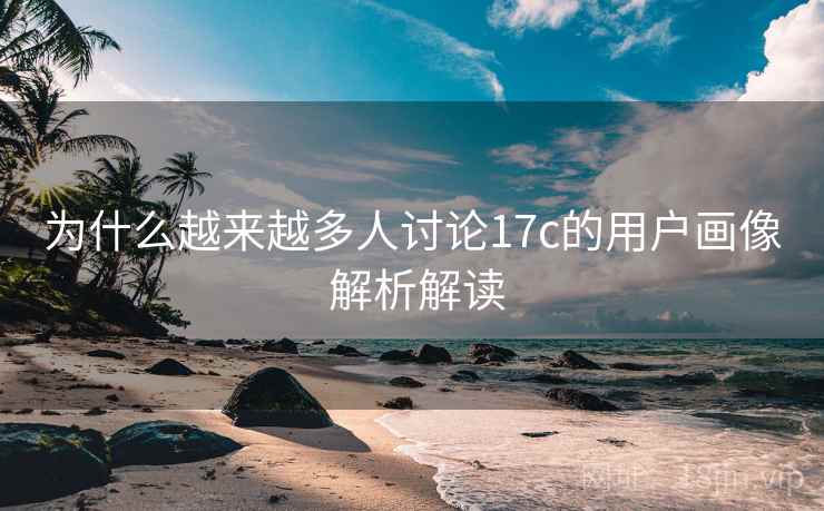 为什么越来越多人讨论17c的用户画像 解析解读 为什么越来越多人讨论17c的用户画像 解析解读
