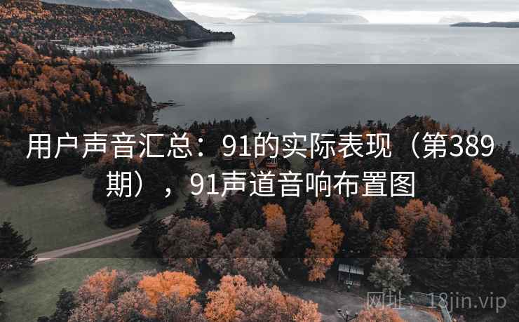 用户声音汇总:91的实际表现(第389期),91声道音响布置图 用户声音汇总:91的实际表现(第389期),91声道音响布置图